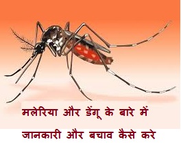 Malaria Dengue 